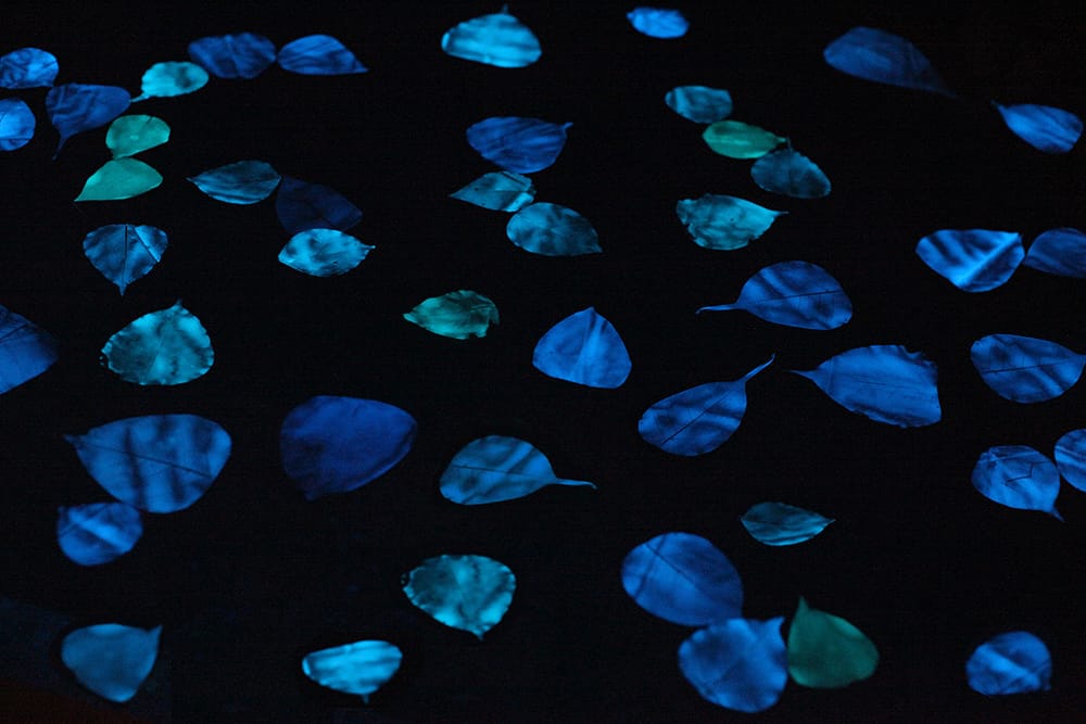 miya_ando_obon_puerto_rico_photo_lorraine_young_for_fist_art_foundation-copy