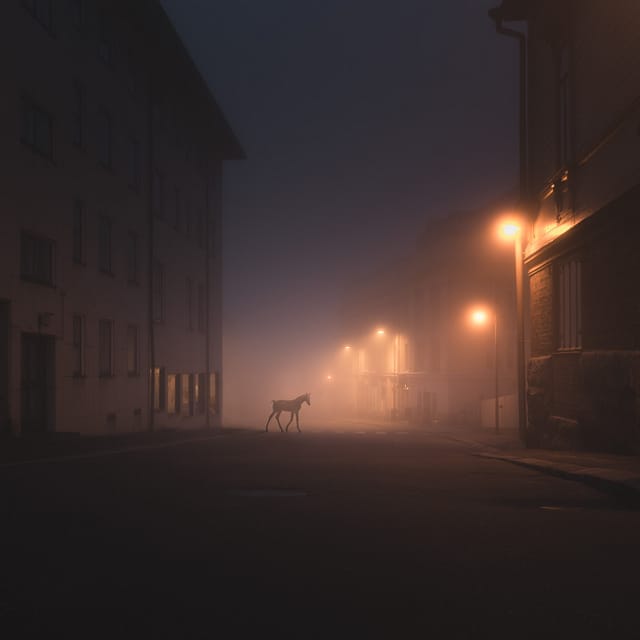 night-1