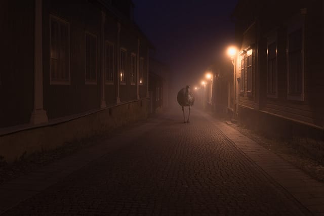 night-2