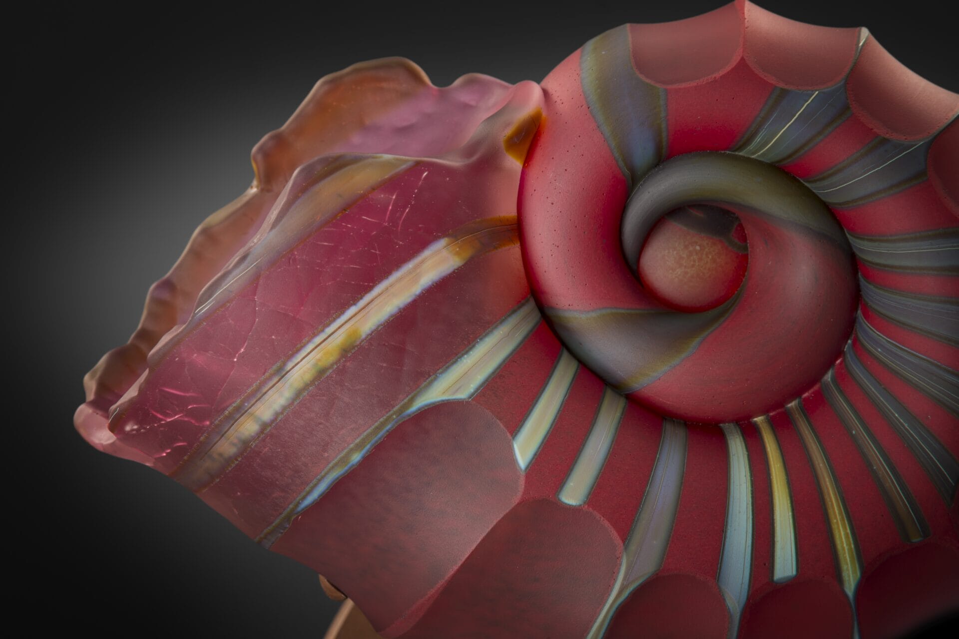 A glass ammonite, in its unique spiral shell, in hues of pink.