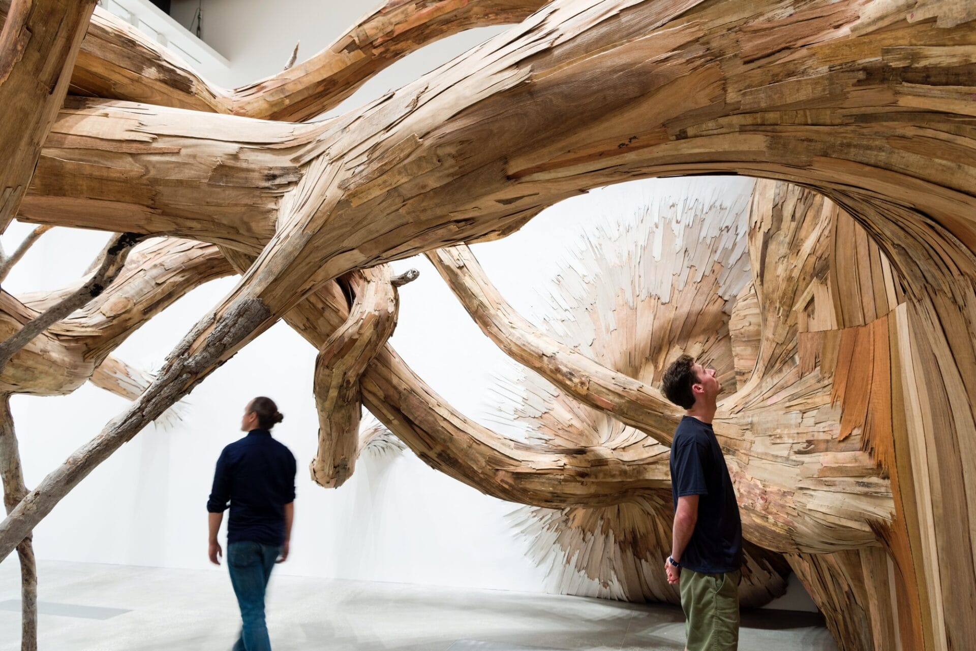 two people walk through an installation of bursting trees