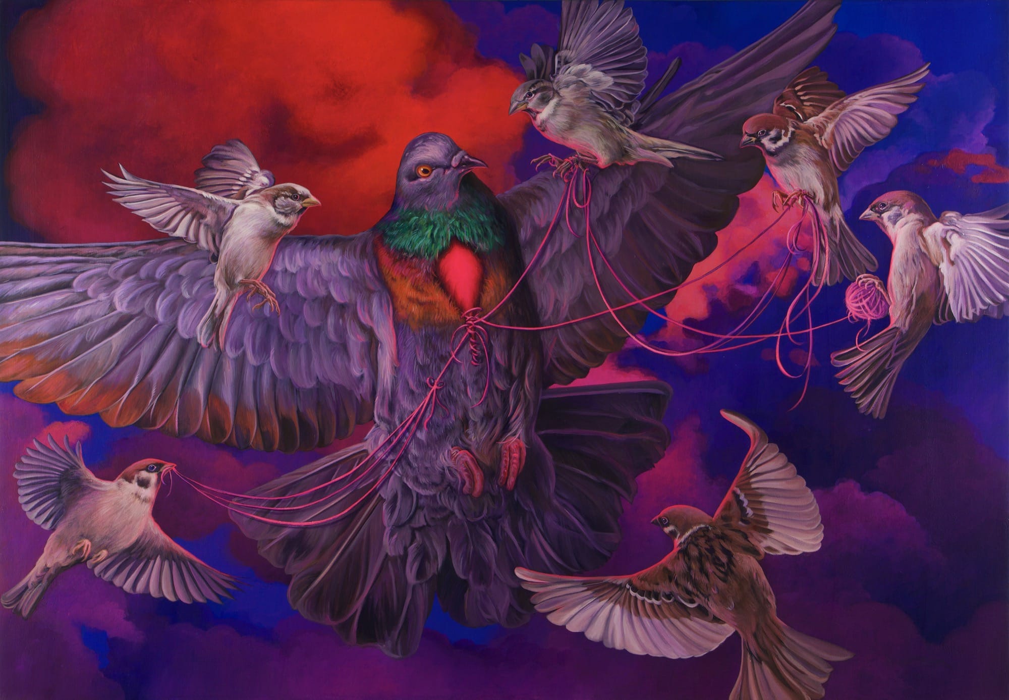 an acrylic painting of six house sparrows with pink thread in their beaks, stitching up a glowing red cavity in a pigeon's breast