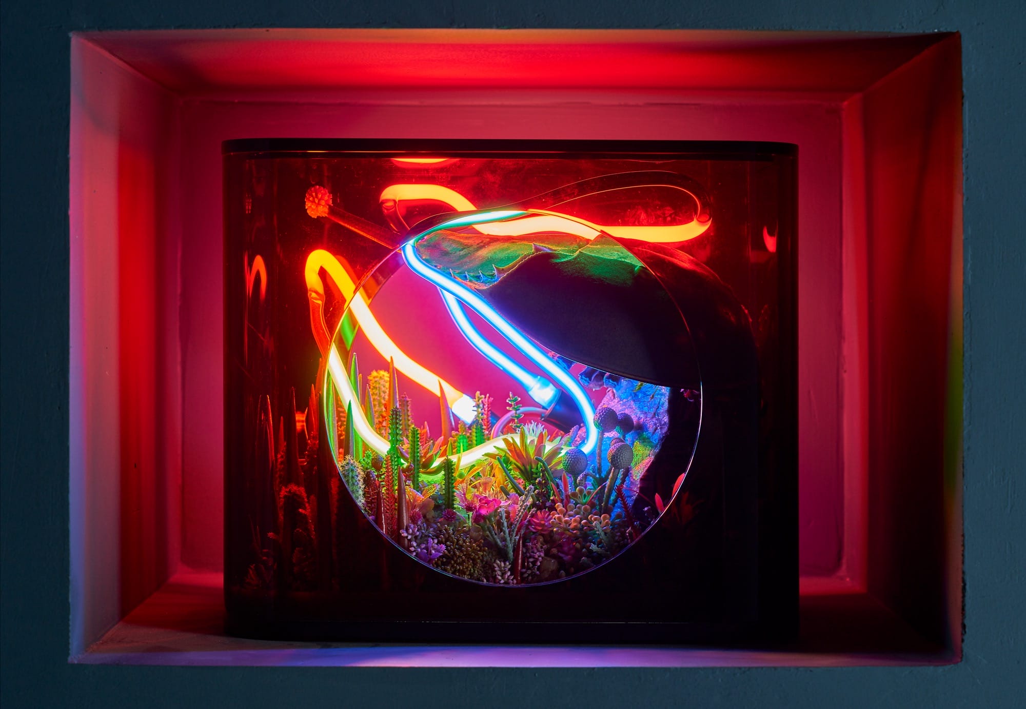 a diorama inside of a box with neon lights in orange and blue, filled with plants like an aquarium