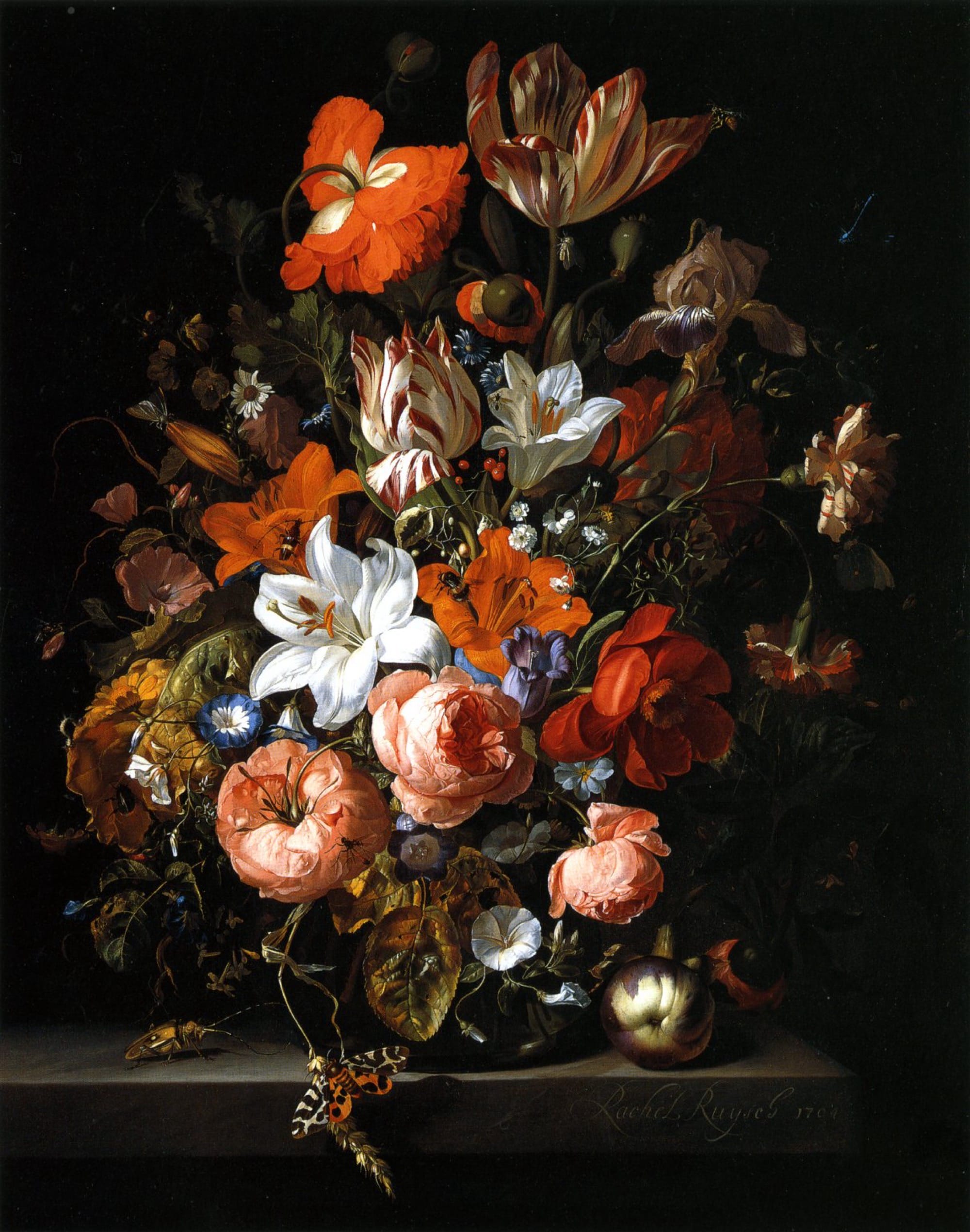 a colorful Dutch still life of flowers on a black background