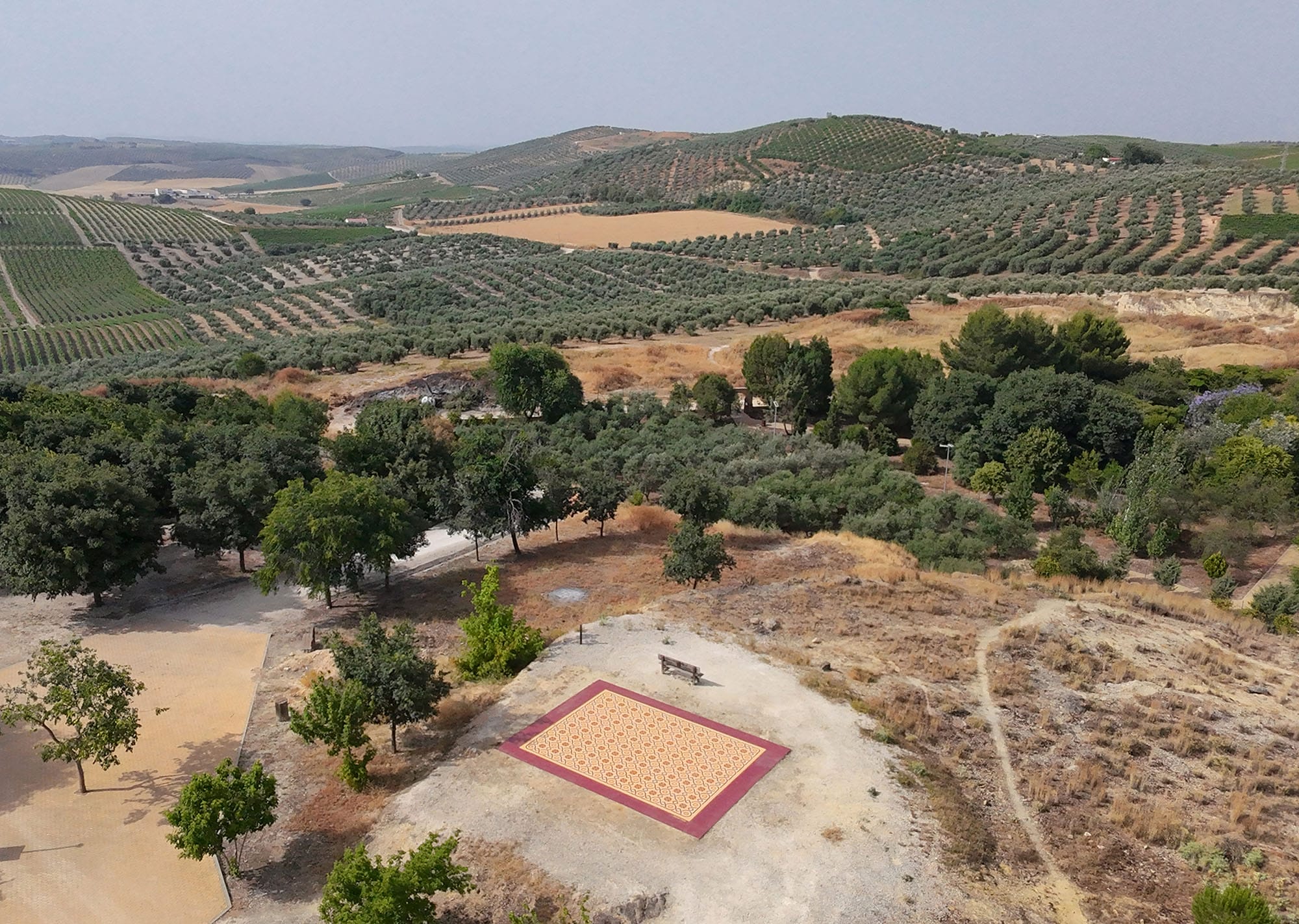 a red and yellow patterned rug in a vineyard