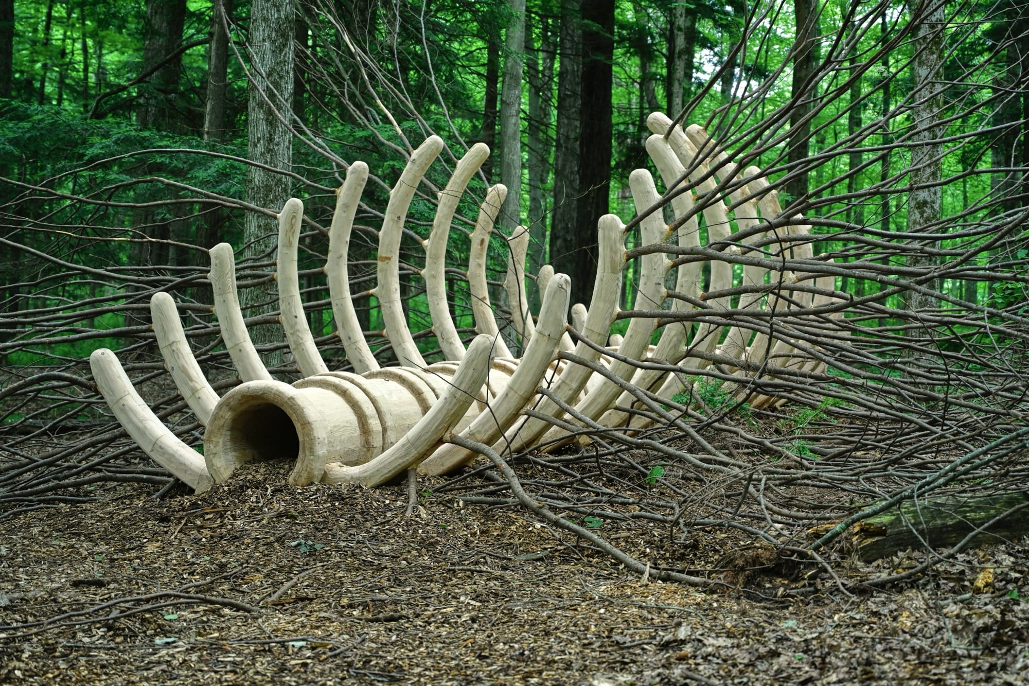 a sculpture by Hugh Hayden of a giant animal rib cage in the woods
