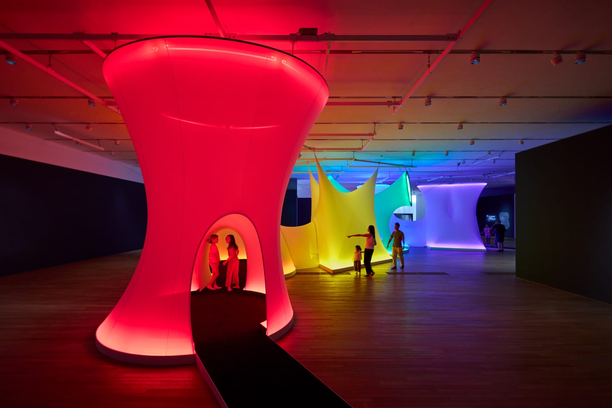 a vibrant art installation in a dark room, with mesh, columnar