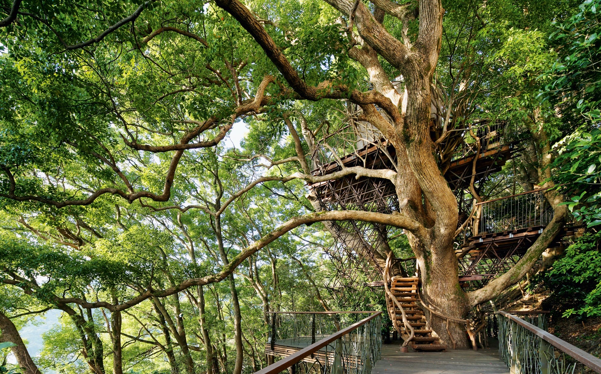 a modern treehouse in a forest