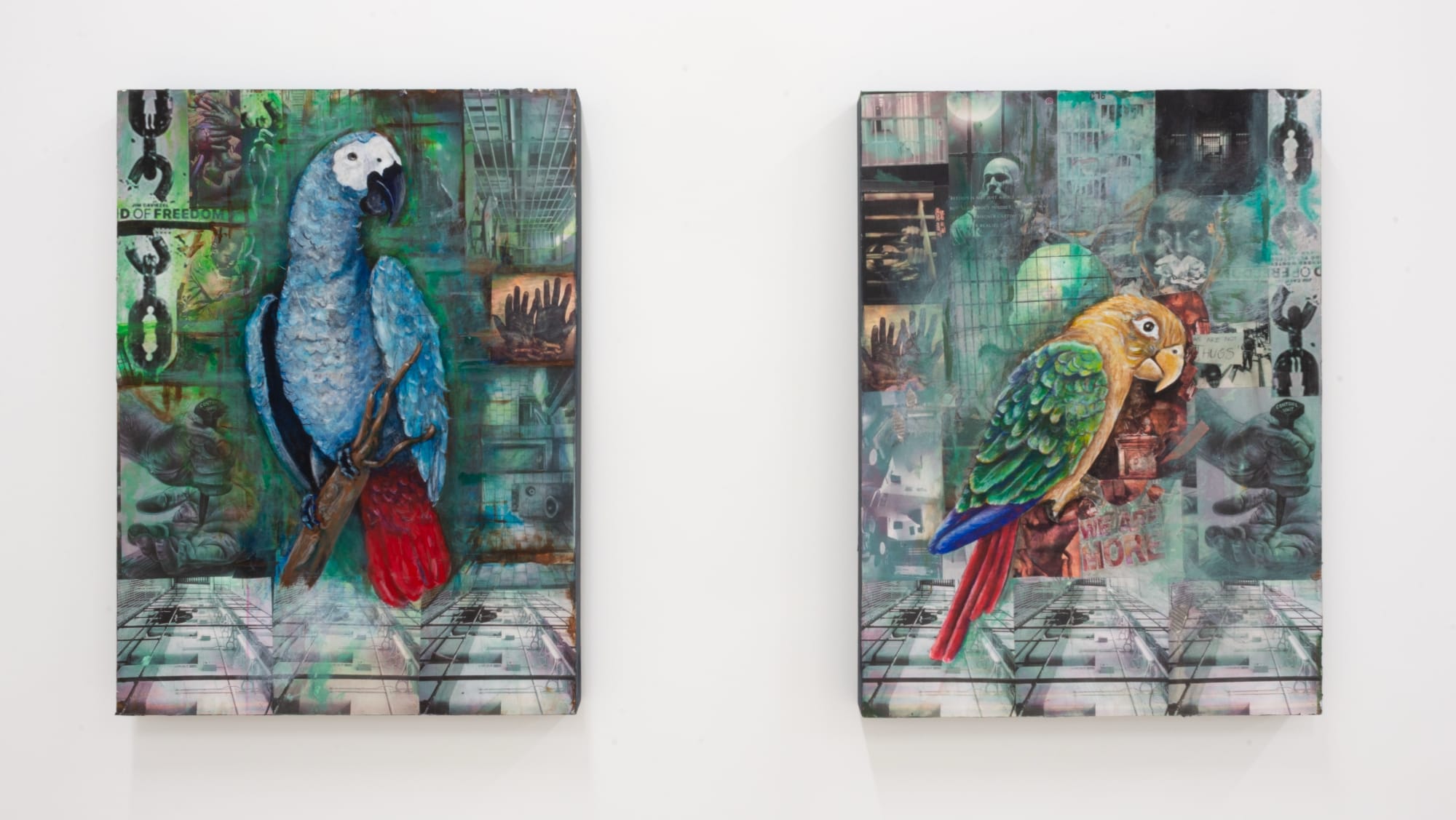 two mixed-media collages by Gilberto Rivera of vibrant birds inside a cell covered in imagery