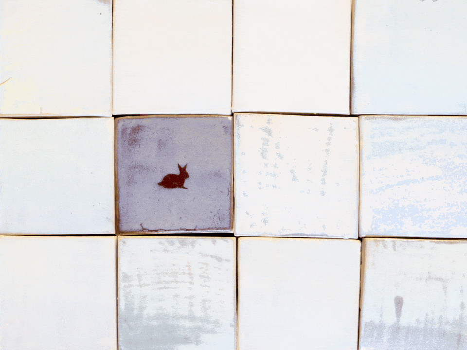 a gif from a video by Julia Hernandez of rabbits