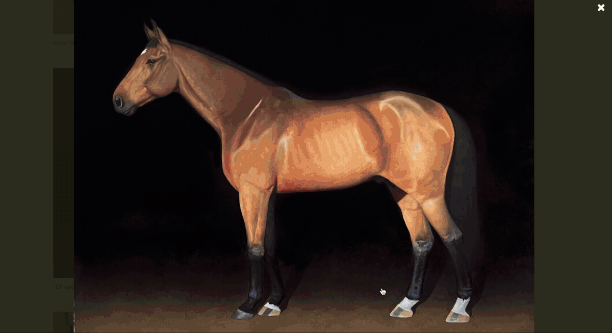 A gif of a sliding image display of drawings of horses by Nicholas V. Sanchez