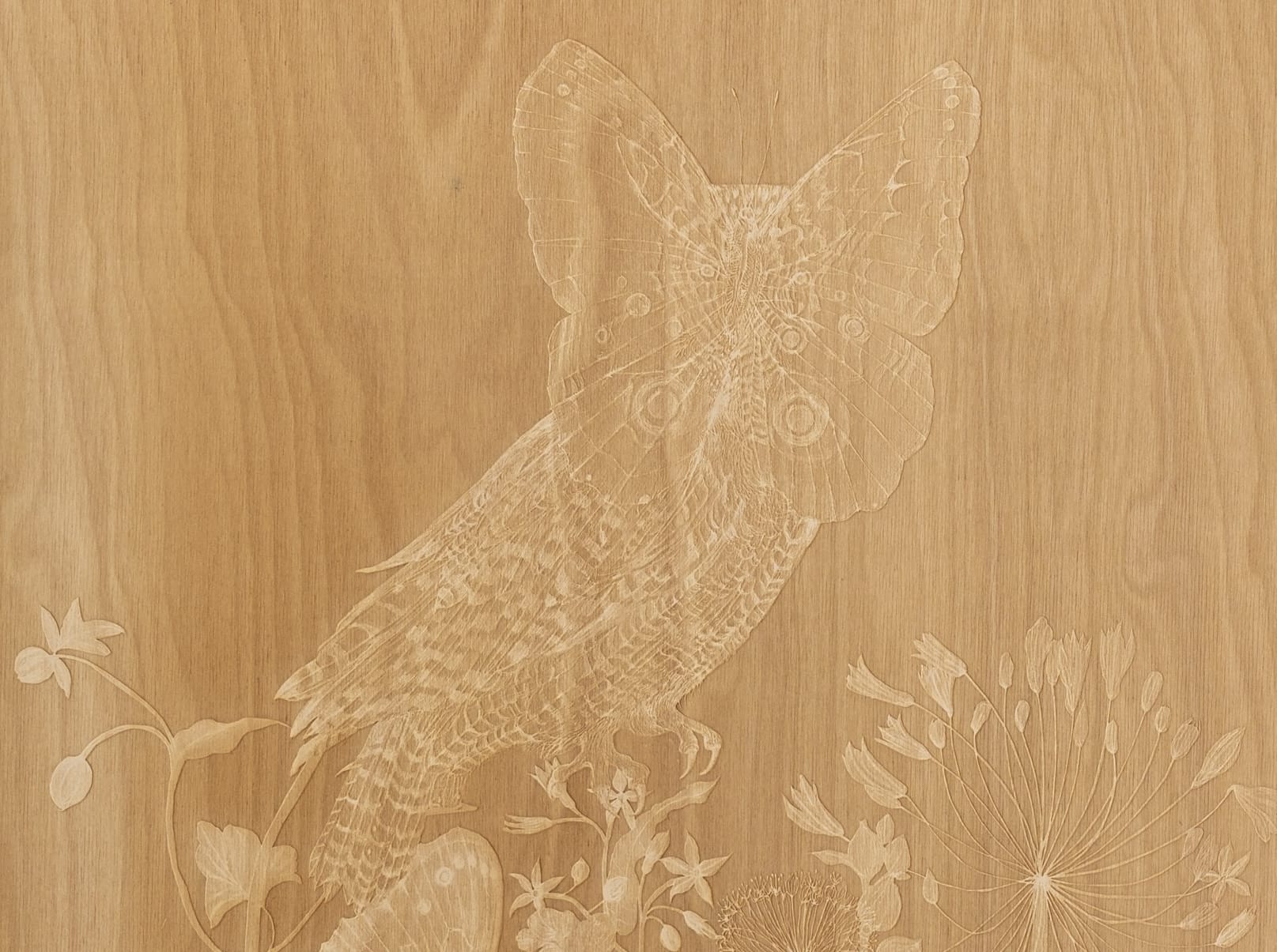 A detail of a wood engraving of a moth over an owl's face and flowers by Valerie Hammond