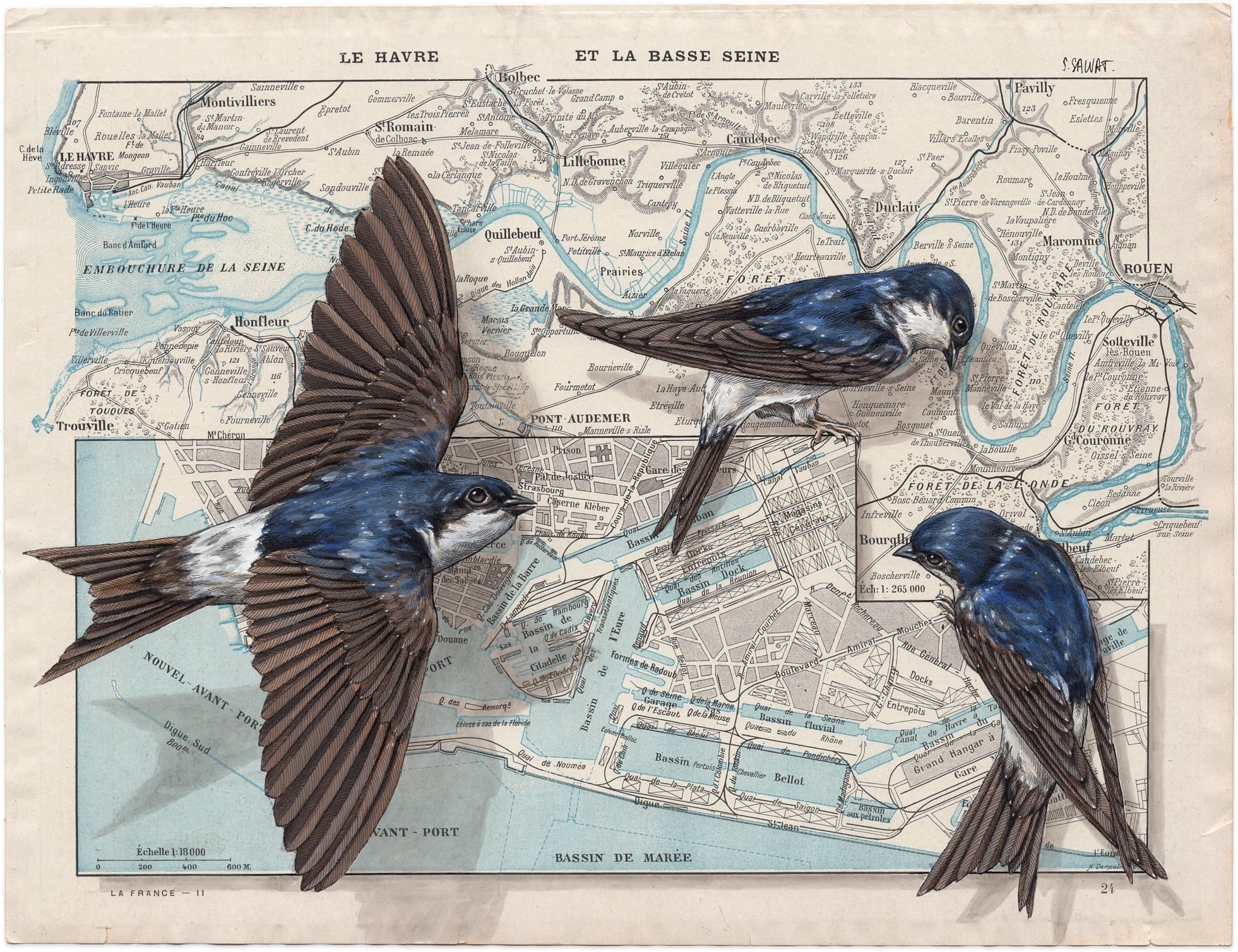 A painting of flying birds on a vintage map by Steeven Salvat