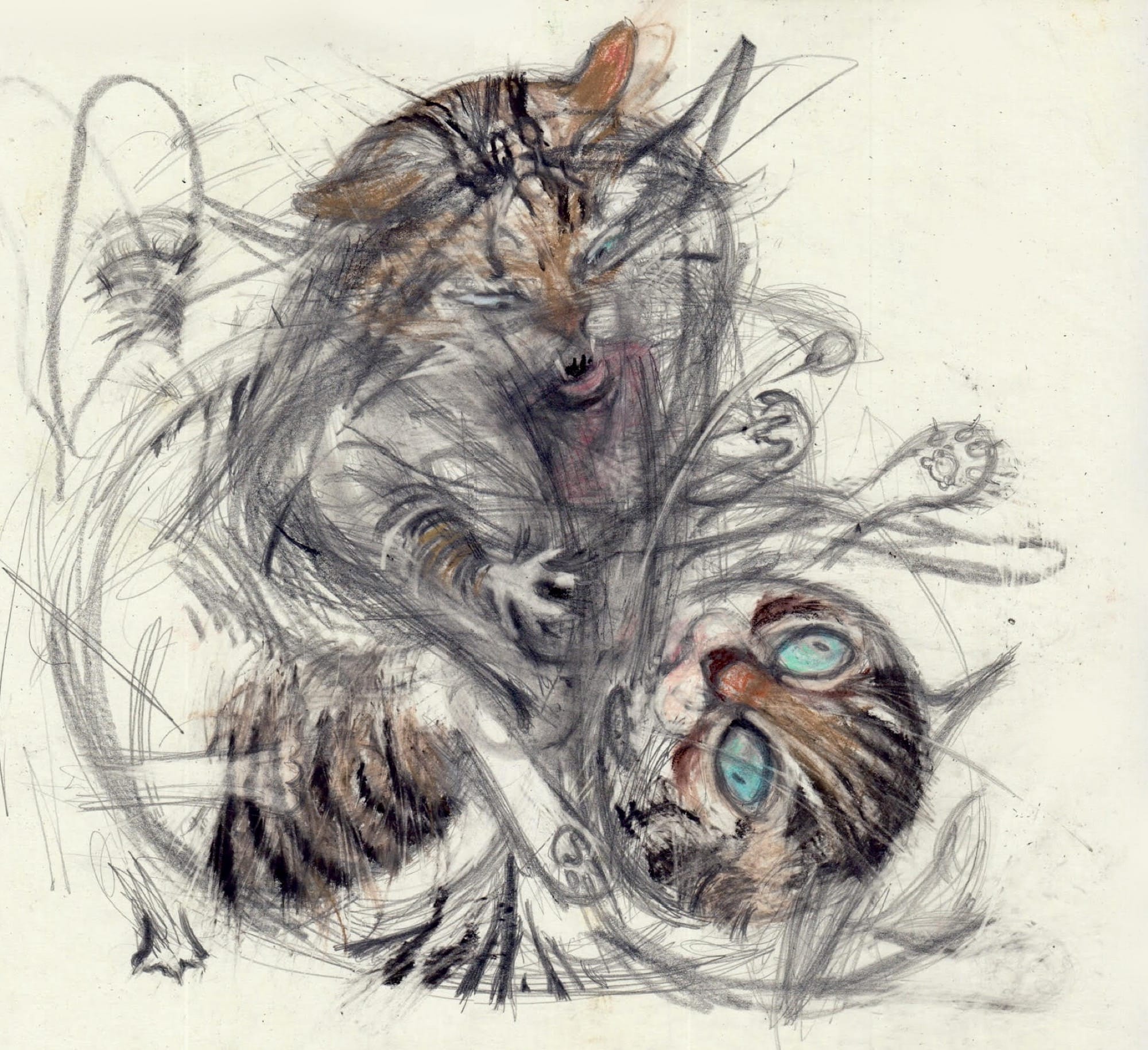 a pencil drawing of a dynamic, chaotic cat