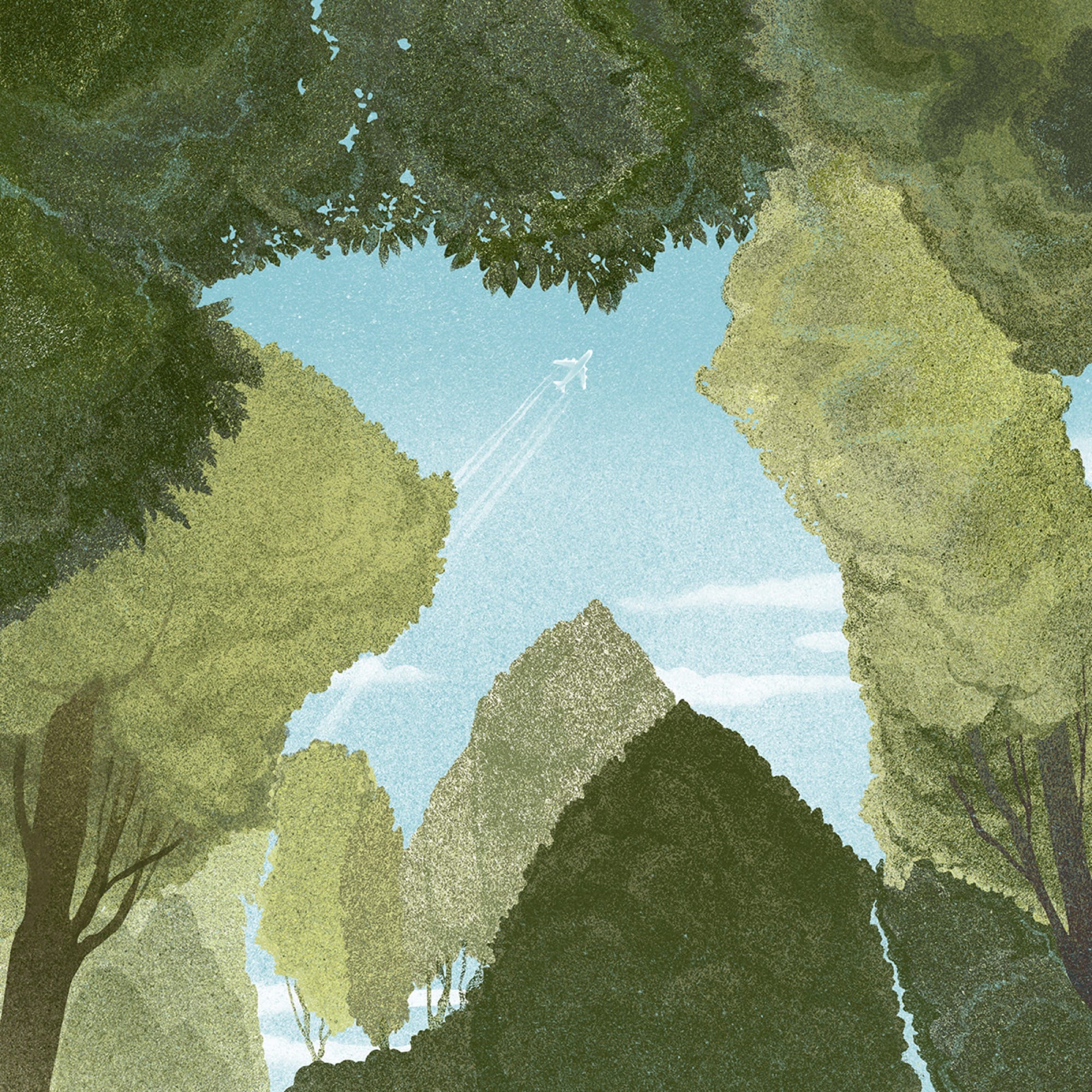 an illustration by Masha Foya of a tree canopy with an opening of blue sky in the shape of a bird, with an airplane flying overhead