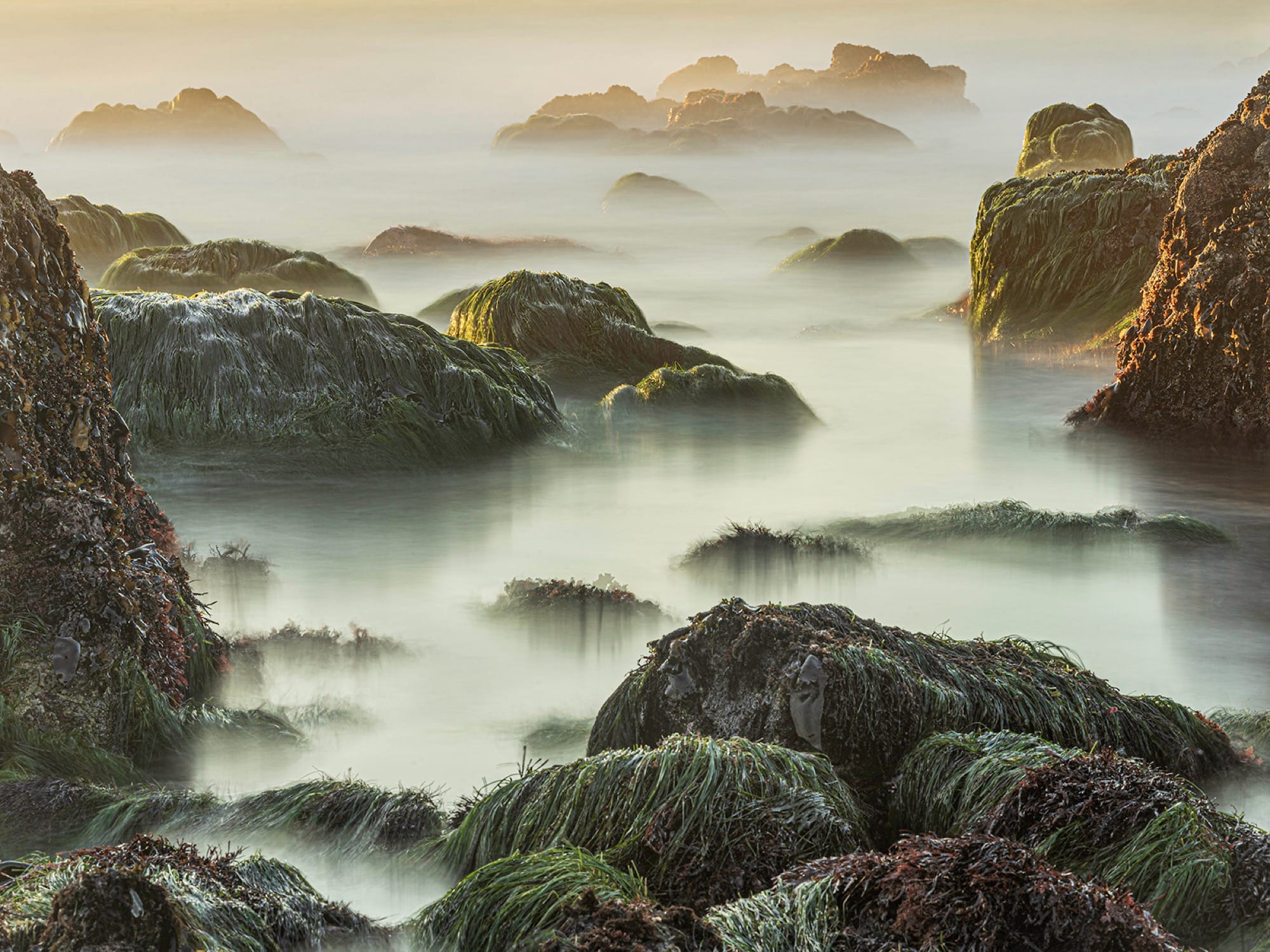 a photograph by Jon McCormack of a misty morning on a rocky shoreline at low tide