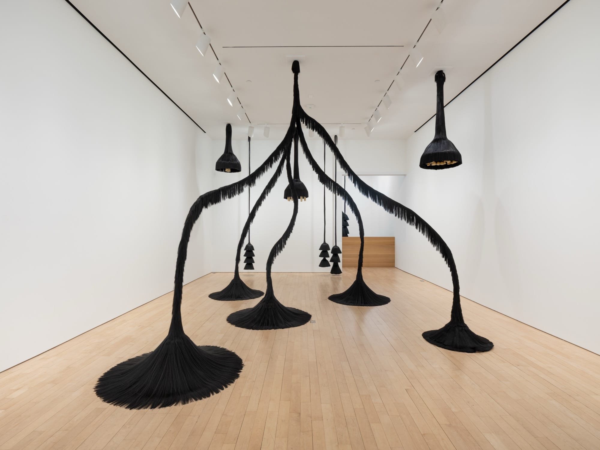 a collection of suspended hair sculptures at various lengths. one emerges from pods on the floor