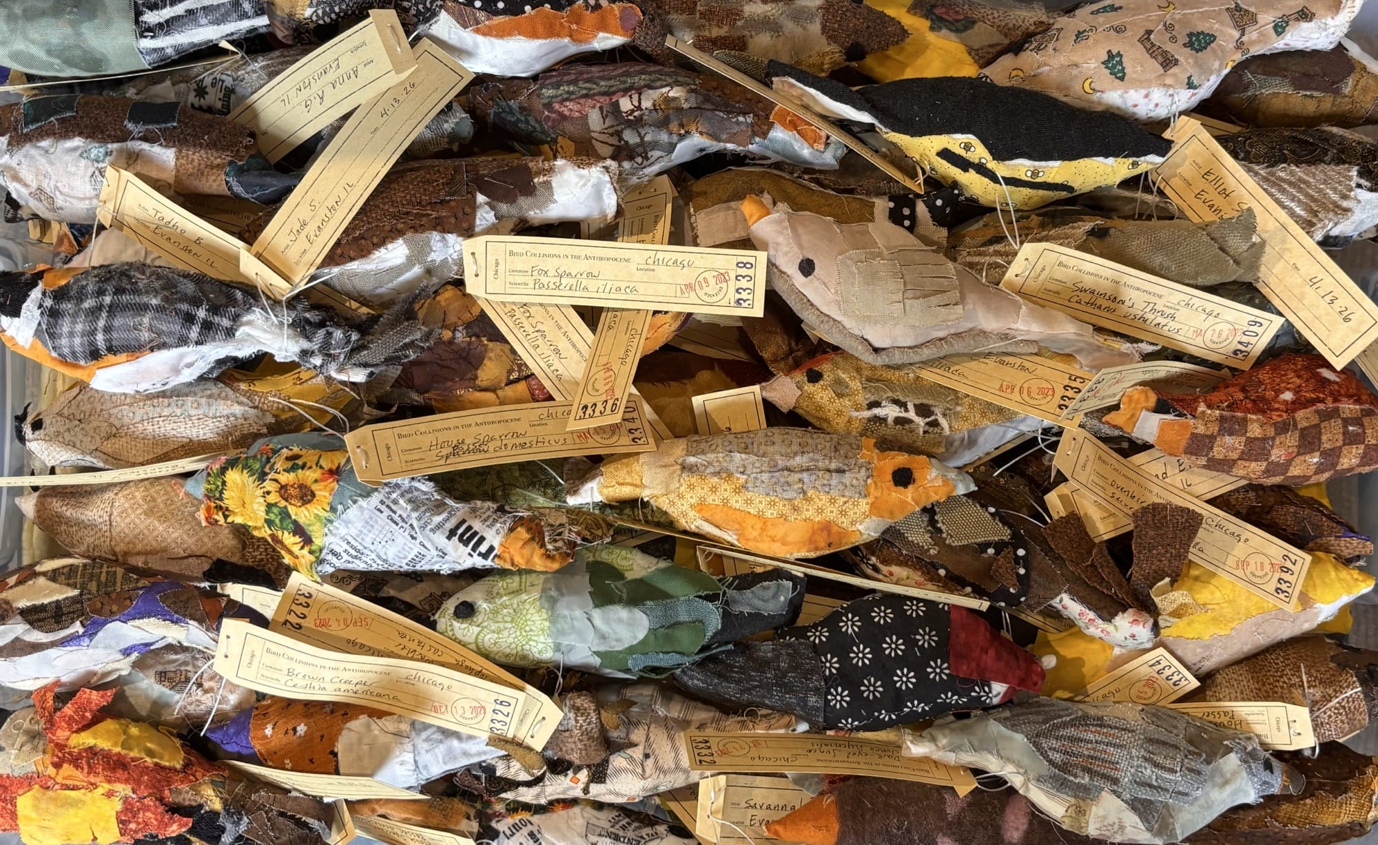 a group of dozens of handmade fabric birds with paper tags identifying them, modeled after real birds