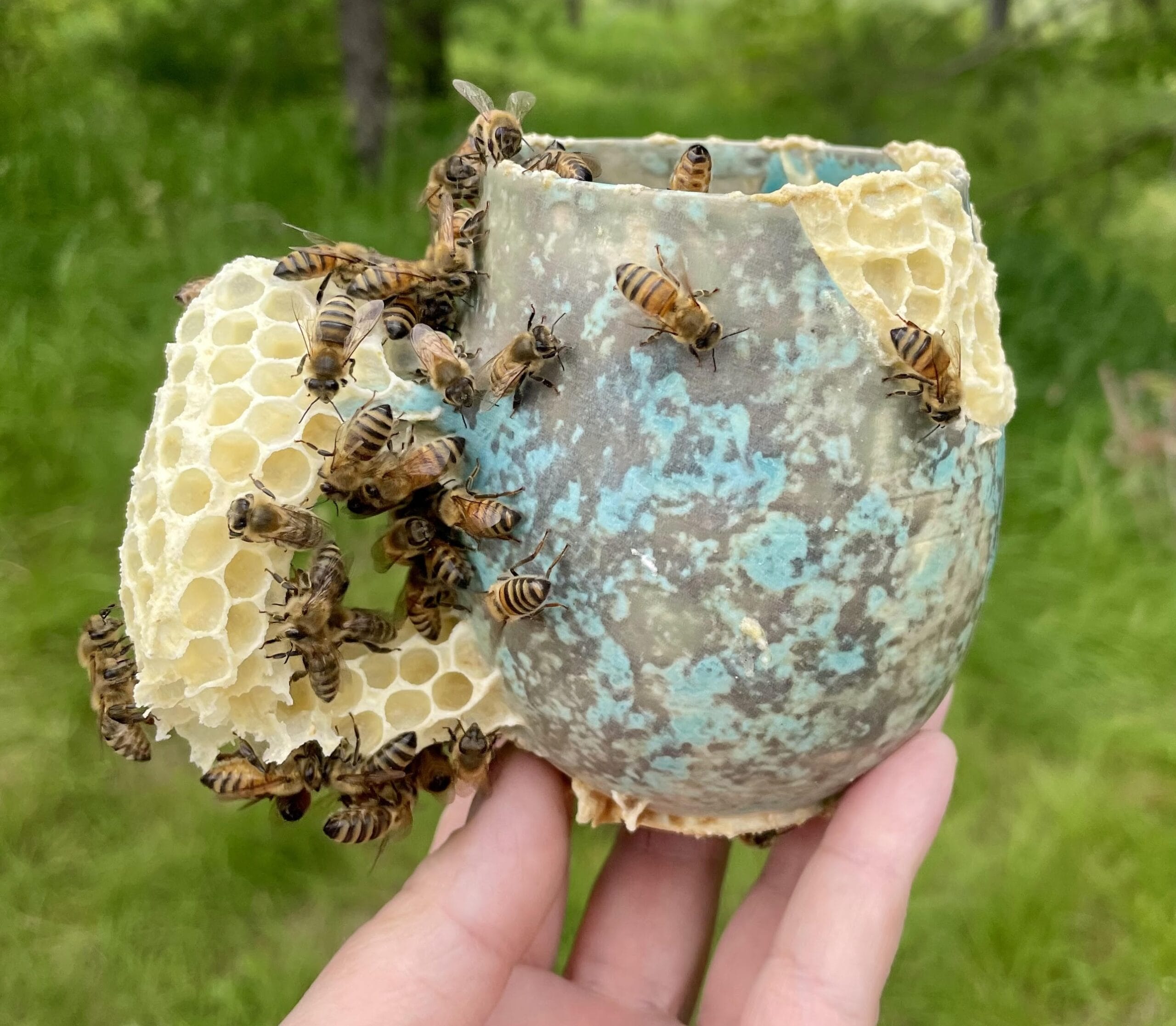 a ceramic mug that has been "repaired" with organically formed honeycomb in the style of Japanese kintsugi, with bees crawling on it