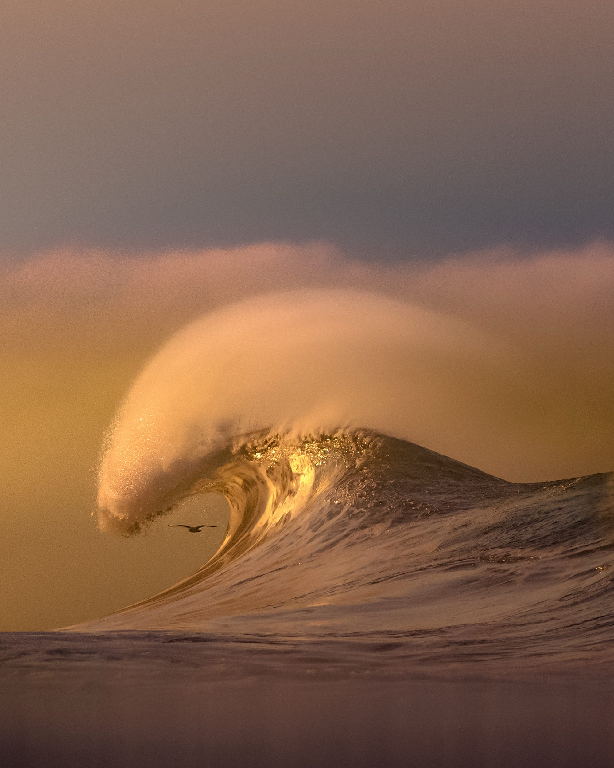 Pacific Surf Takes Center Stage in Craig Hubbard’s Dreamy Photos