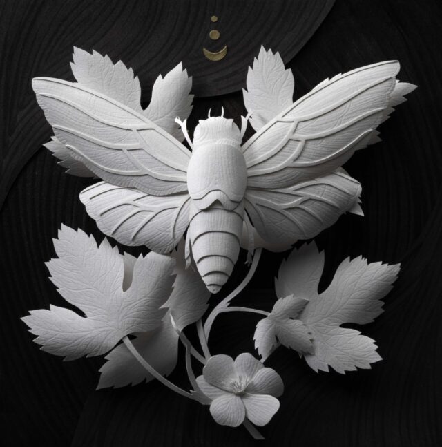 a white paper relief of a cicada on some leaves against a dark background